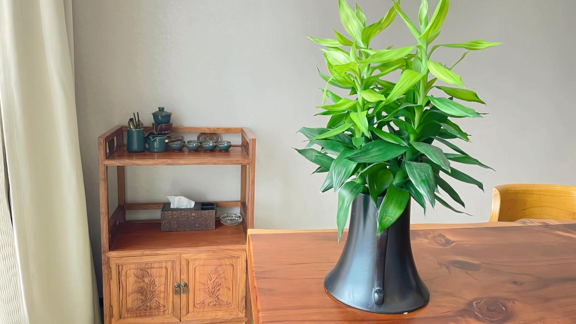 Guangzhou Xing Yi International Apartment - Poly World Branch מראה חיצוני תמונה